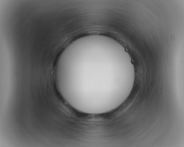 X0000116150601200911230953