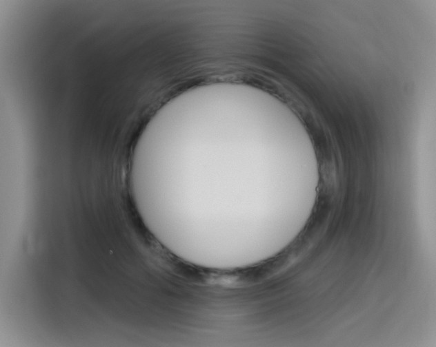 X0000116150602200911230953