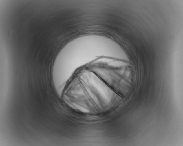 X0000116150605200911230953