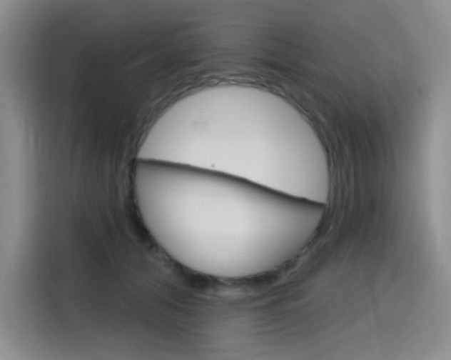 X0000116150608200911230953