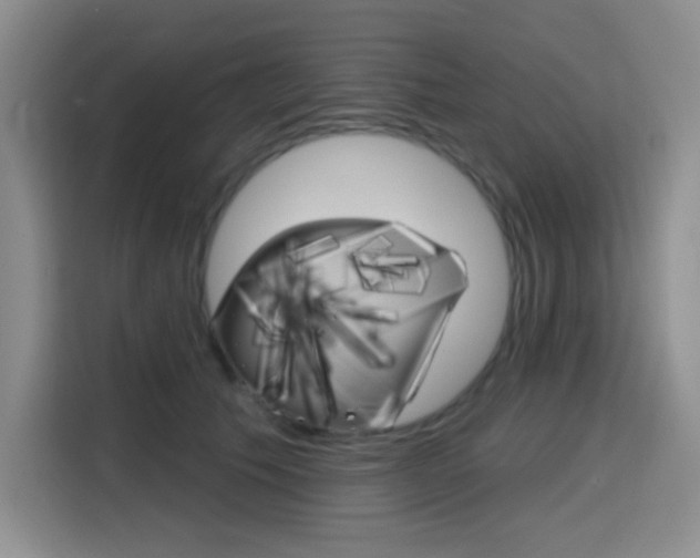 X0000116150609200911230953