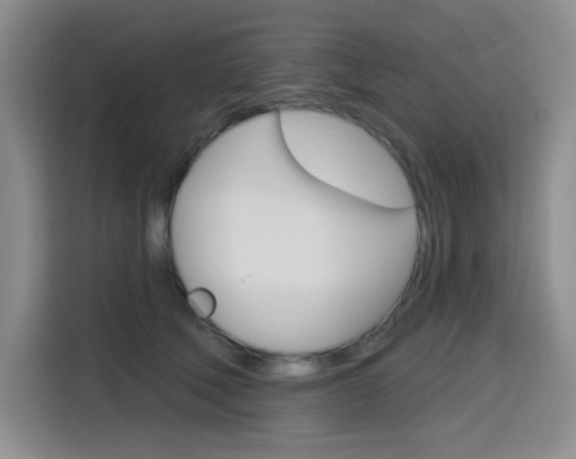 X0000116150610200911230953