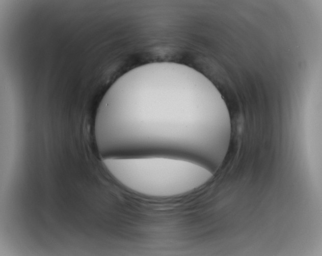 X0000116150615200911230953