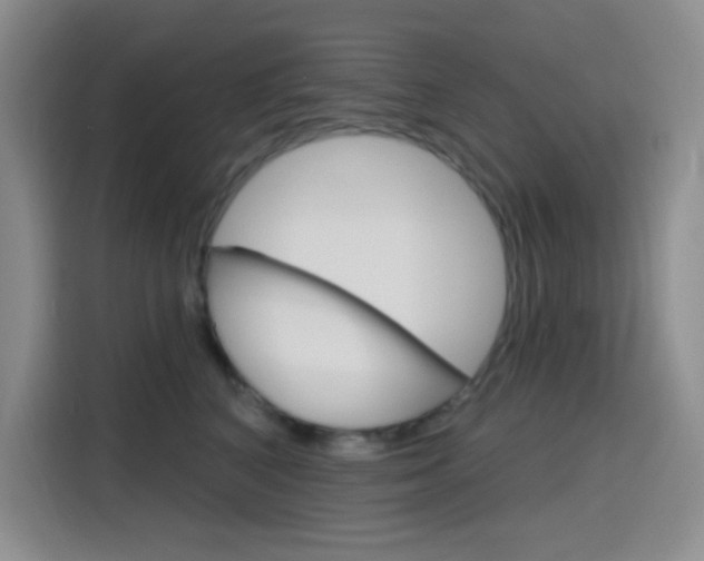 X0000116150616200911230953