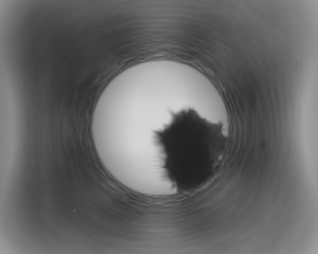 X0000116150617200911230953