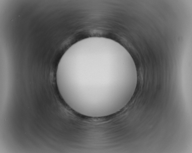 X0000116150619200911230953
