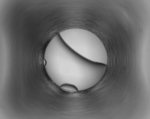 X0000116150620200911230953