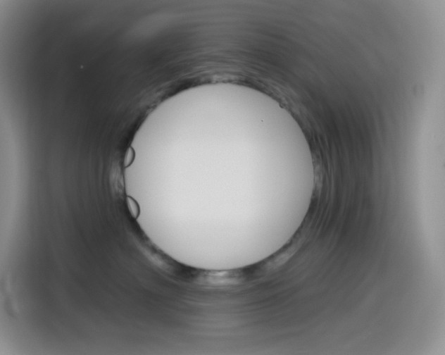 X0000116150622200911230953