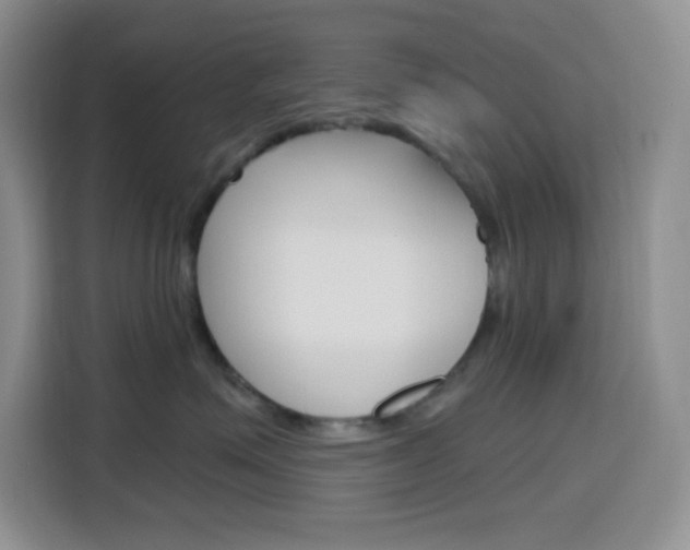 X0000116150623200911230953