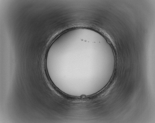 X0000116150625200911230952