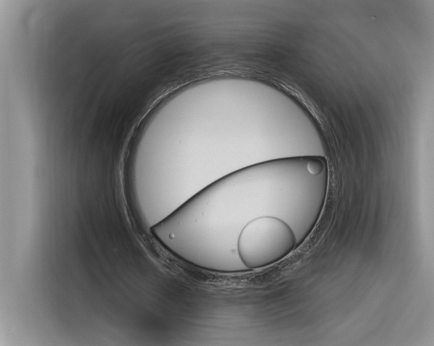 X0000116150626200911230952