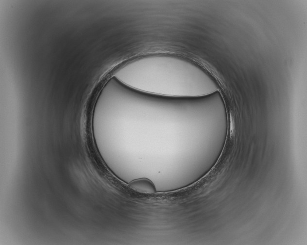X0000116150627200911230952