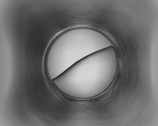 X0000116150628200911230952