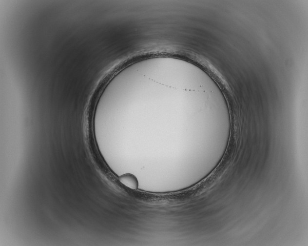 X0000116150629200911230952