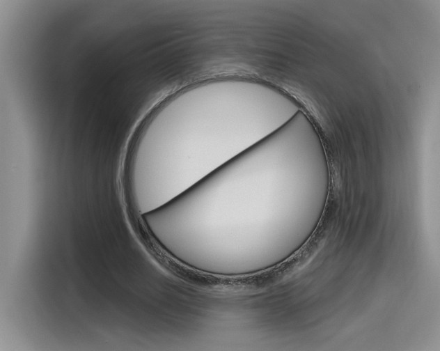 X0000116150630200911230952
