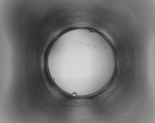 X0000116150631200911230952