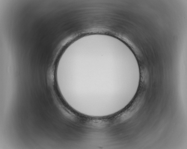 X0000116150632200911230952