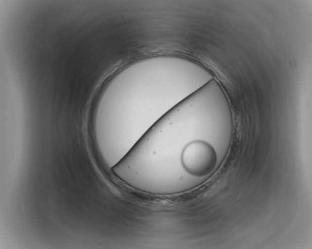 X0000116150634200911230952