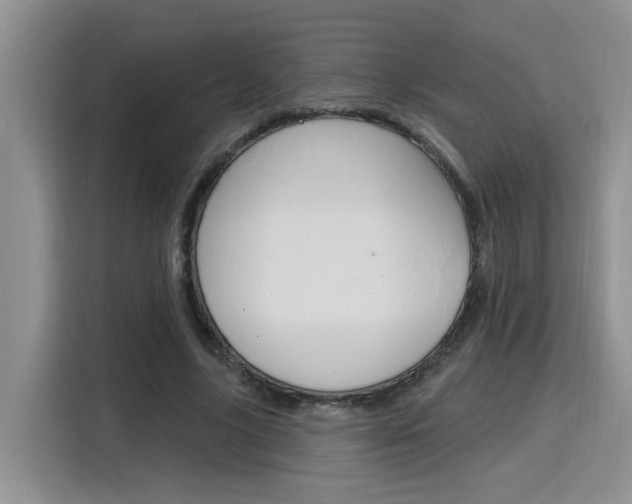X0000116150635200911230952