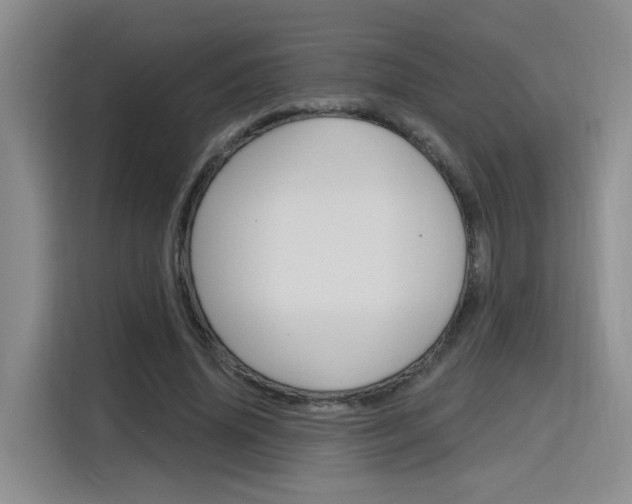 X0000116150636200911230952