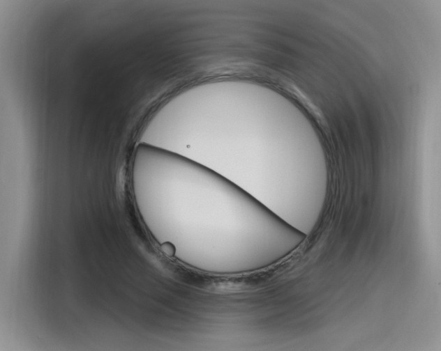 X0000116150637200911230952
