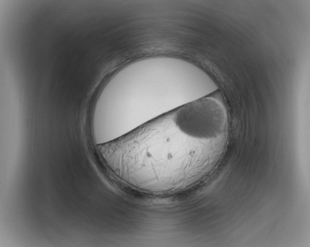 X0000116150638200911230952