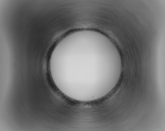 X0000116150640200911230952