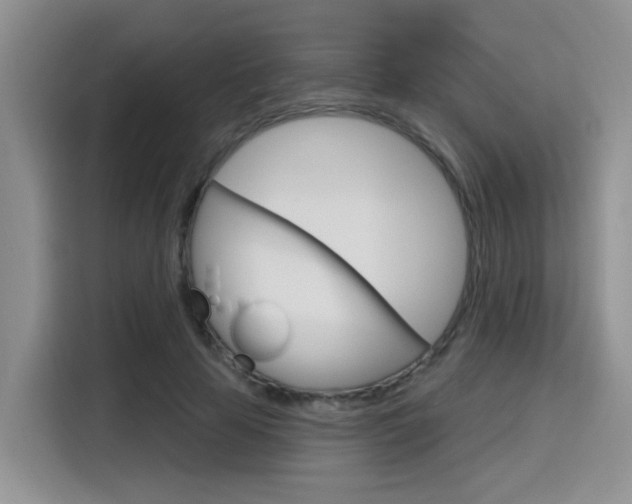 X0000116150641200911230952