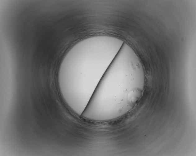 X0000116150642200911230952
