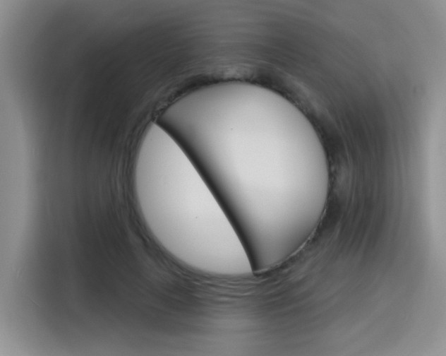 X0000116150643200911230952