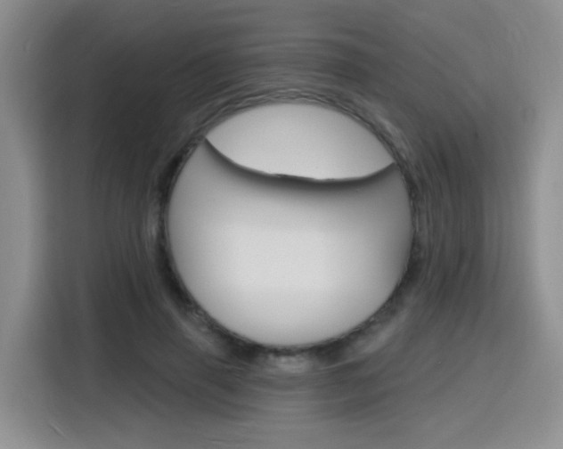 X0000116150645200911230952
