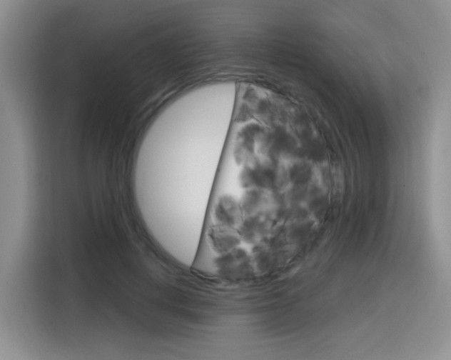 X0000116150648200911230952