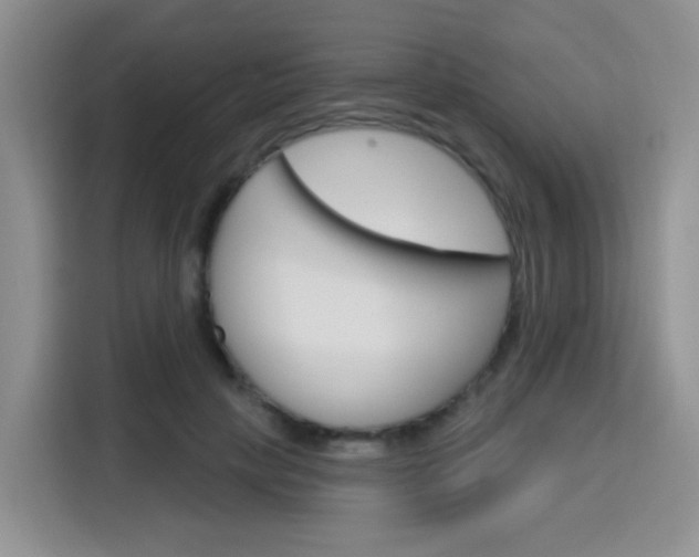 X0000116150649200911230952