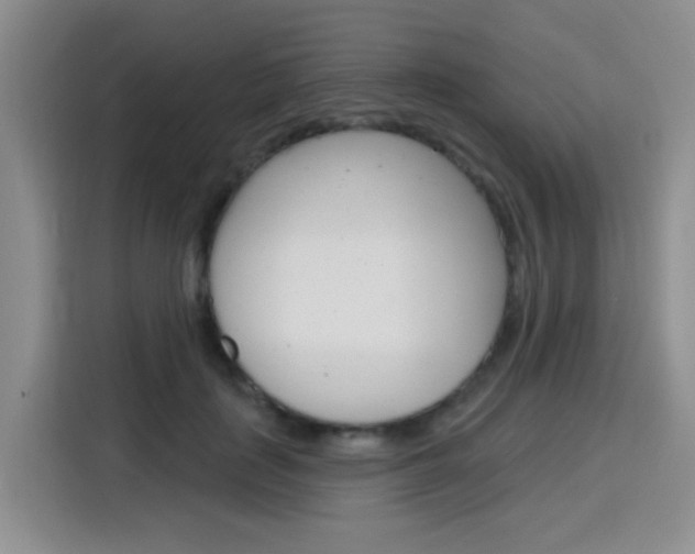X0000116150651200911230952