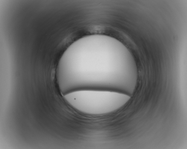 X0000116150652200911230952