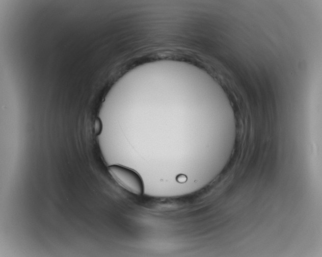 X0000116150653200911230952
