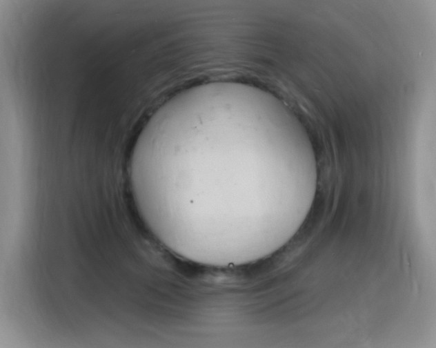 X0000116150655200911230952