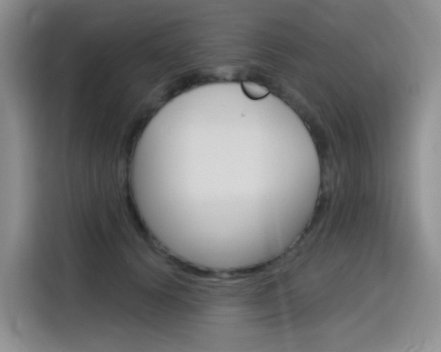 X0000116150656200911230952