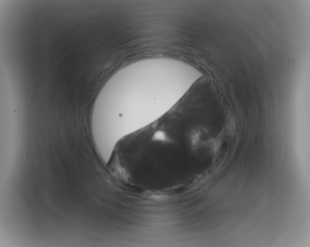 X0000116150658200911230952