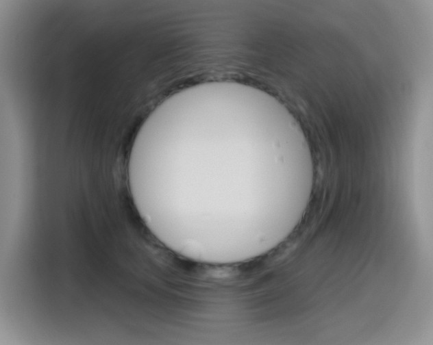 X0000116150659200911230952
