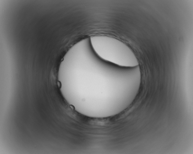 X0000116150661200911230952