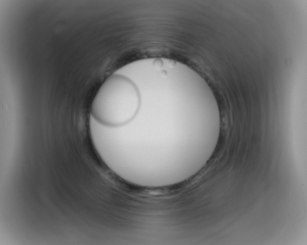 X0000116150662200911230953