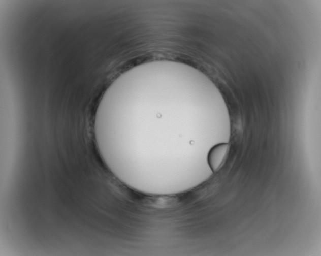 X0000116150663200911230953