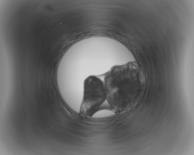 X0000116150664200911230953