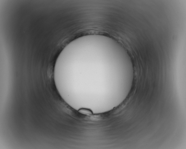 X0000116150665200911230953