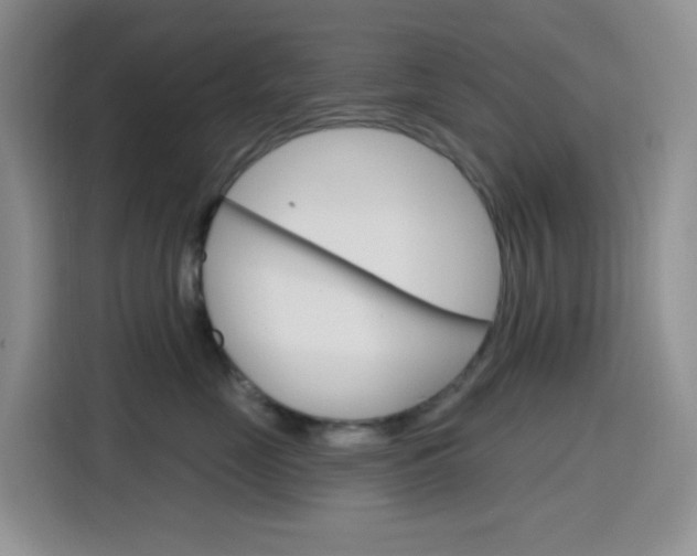 X0000116150669200911230953