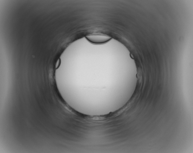 X0000116150670200911230953