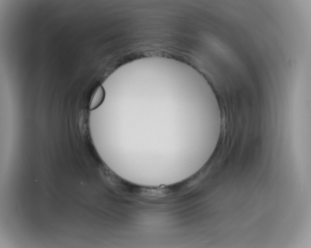 X0000116150671200911230953
