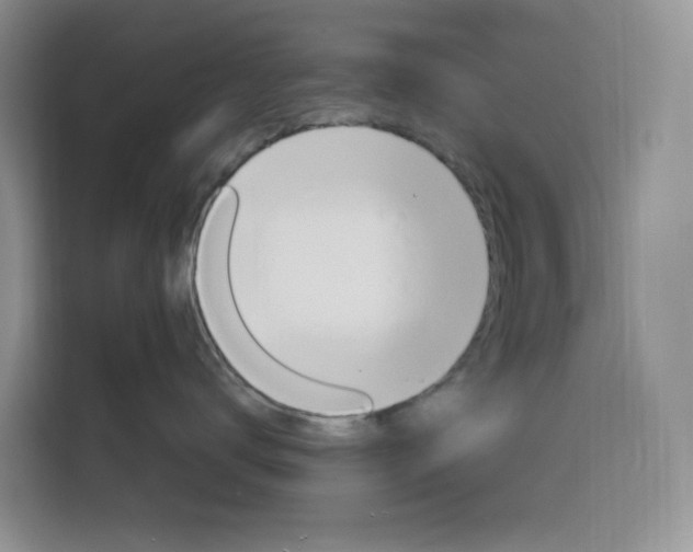 X0000116150672200911230953