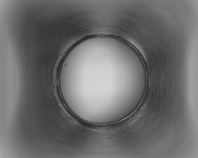 X0000116150673200911230952